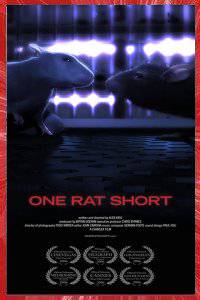 One Rat Short Alex Weil 2006 short film Affiche