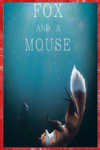The Short Story of a Fox and a Mouse Camille CHAIX, Hugo JEAN, Juliette JOURDAN, Marie PILLIER, Kevin ROGER 2015
